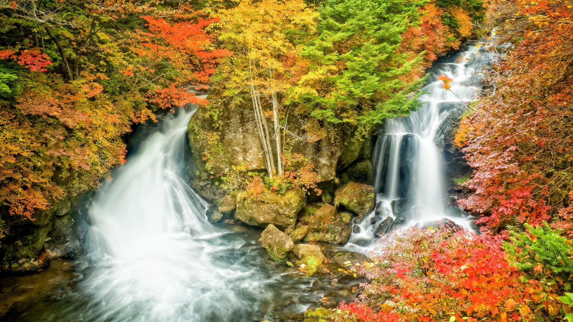 Обои Ryzu Падает, водопад, водоем, природа, растительность в разрешении 1920x1080