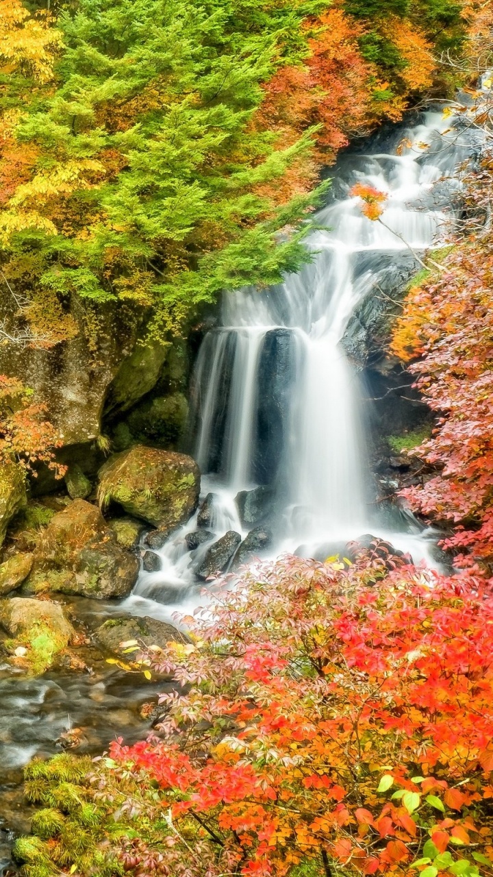 Обои Ryzu Падает, водопад, водоем, природа, растительность в разрешении 720x1280