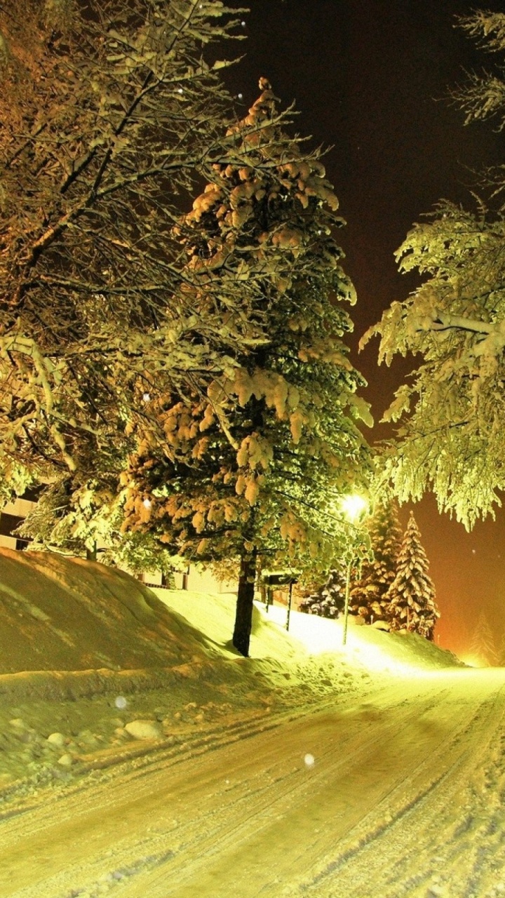 Обои снег, ночь, природа, дерево, зима в разрешении 720x1280