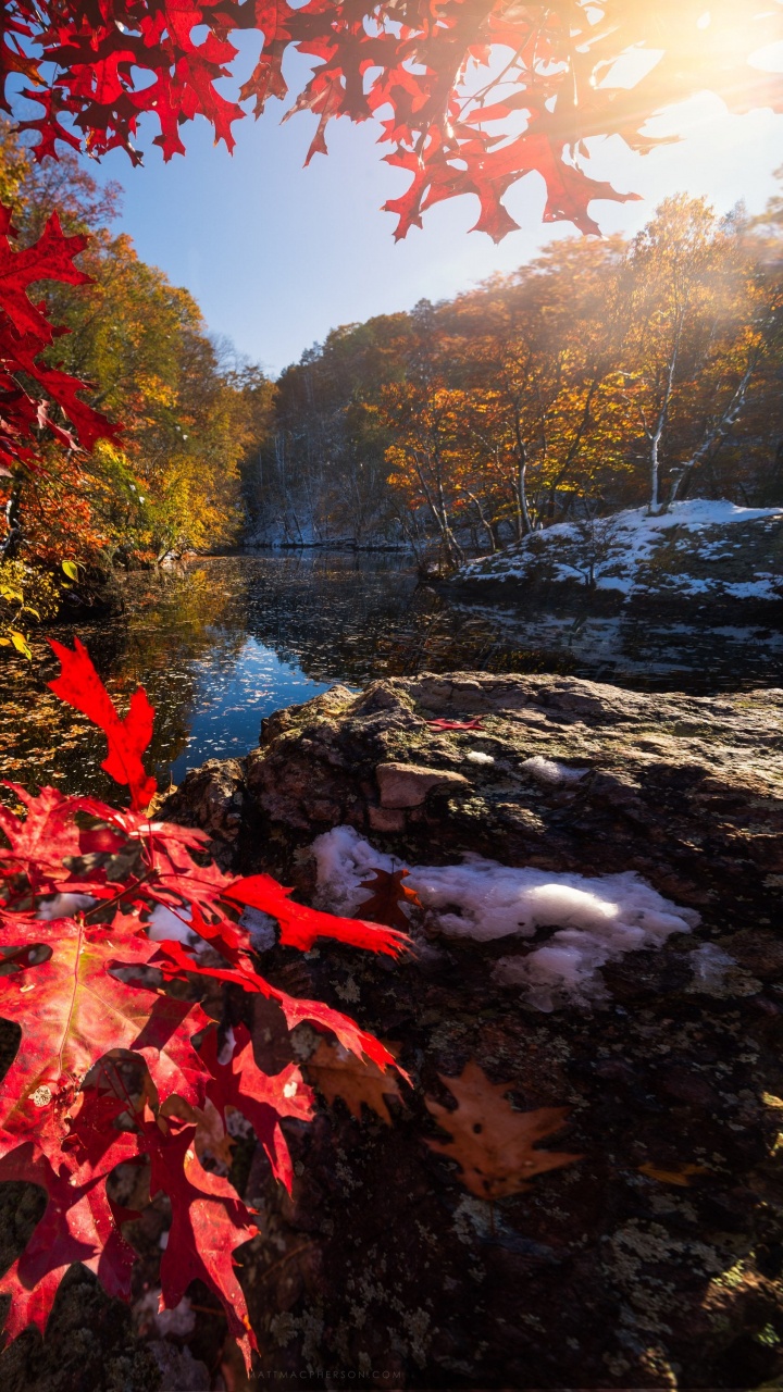 Обои отражение, свет, природный ландшафт, лист, ботаники в разрешении 720x1280