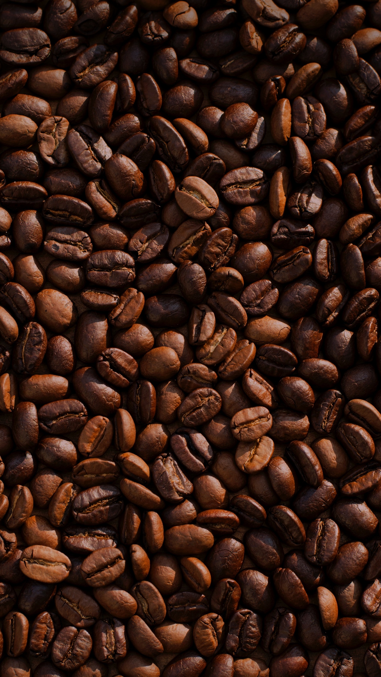 Обои кофе, копи лювак, кофейня, кофейное зерно, обжарка кофе в разрешении 1440x2560
