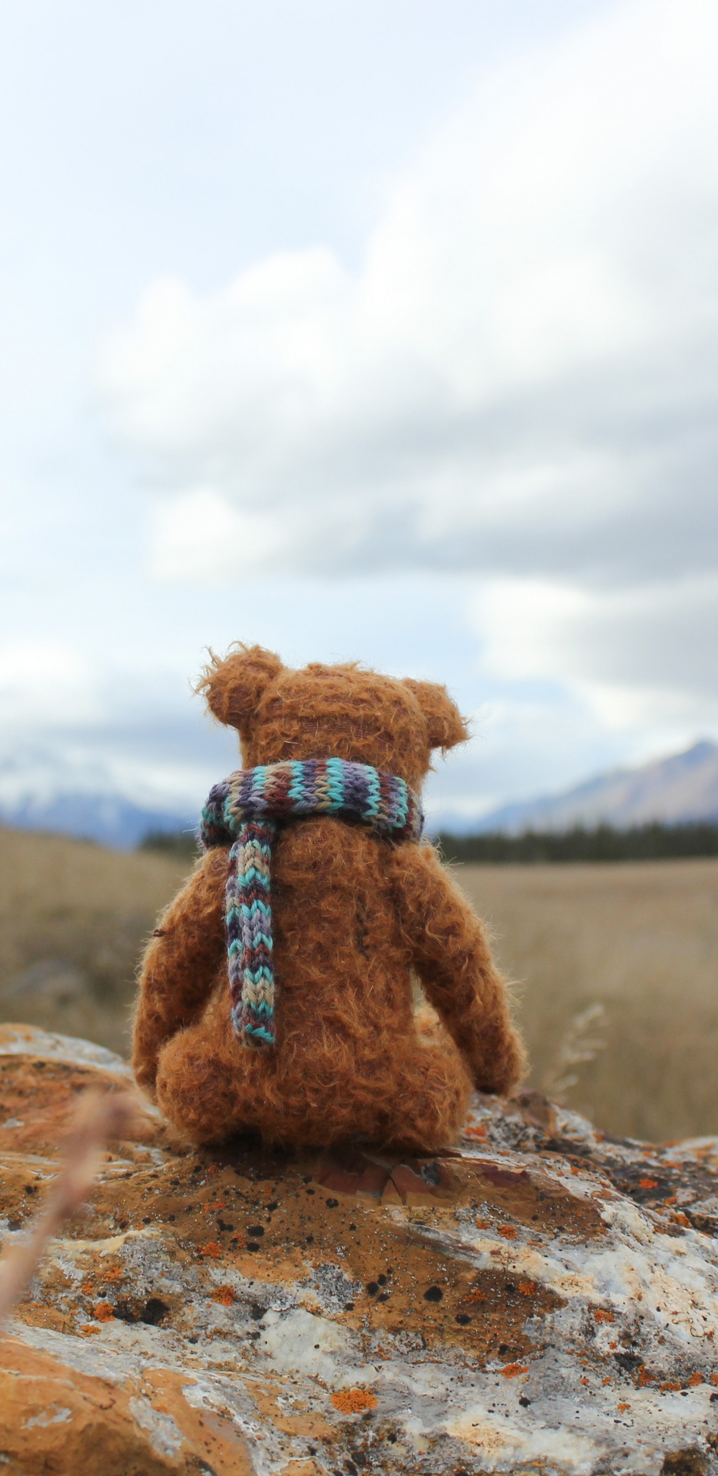 Обои рок, гора, силуэт, облако, степ в разрешении 1440x2960