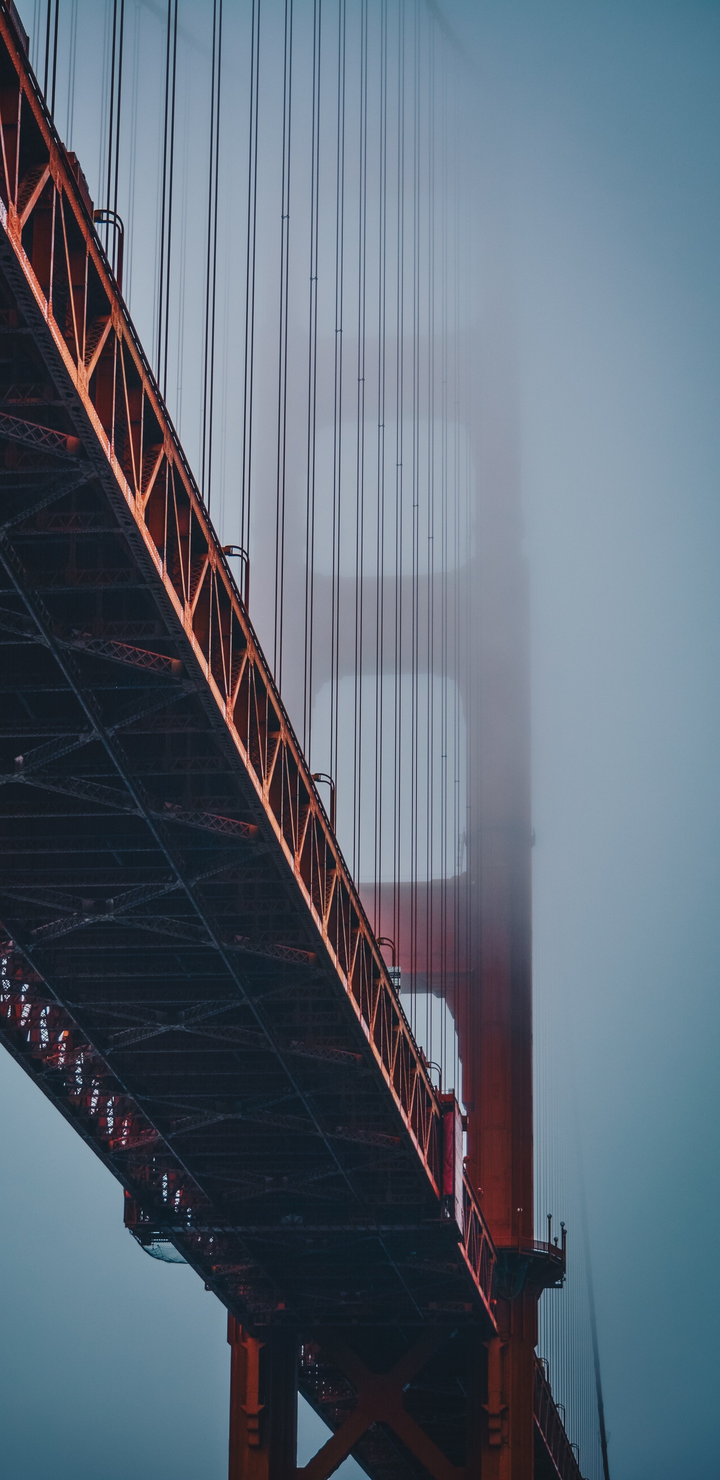 Обои мост Golden Gate, Бейкер-Бич, мост, природа, Мост Джорджа Вашингтона в разрешении 1440x2960