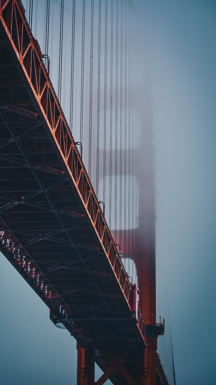 Обои мост Golden Gate, Бейкер-Бич, мост, природа, Мост Джорджа Вашингтона в разрешении 750x1334