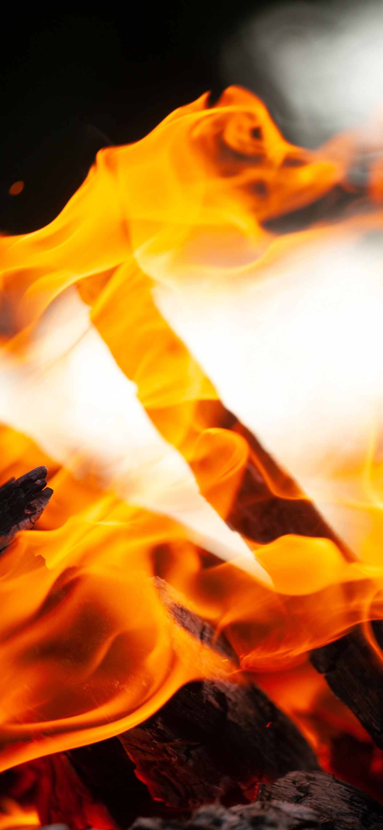 Обои огонь, небо, цветок, желтый, Апельсин в разрешении 1242x2688