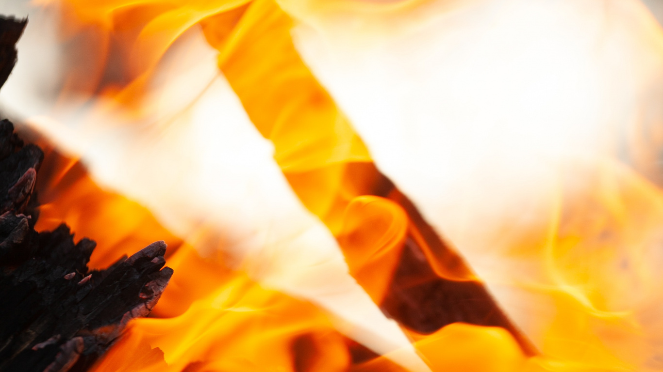 Обои огонь, небо, цветок, желтый, Апельсин в разрешении 1366x768