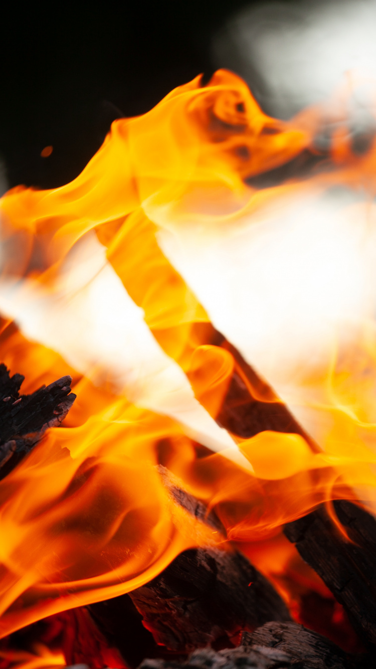 Обои огонь, небо, цветок, желтый, Апельсин в разрешении 750x1334