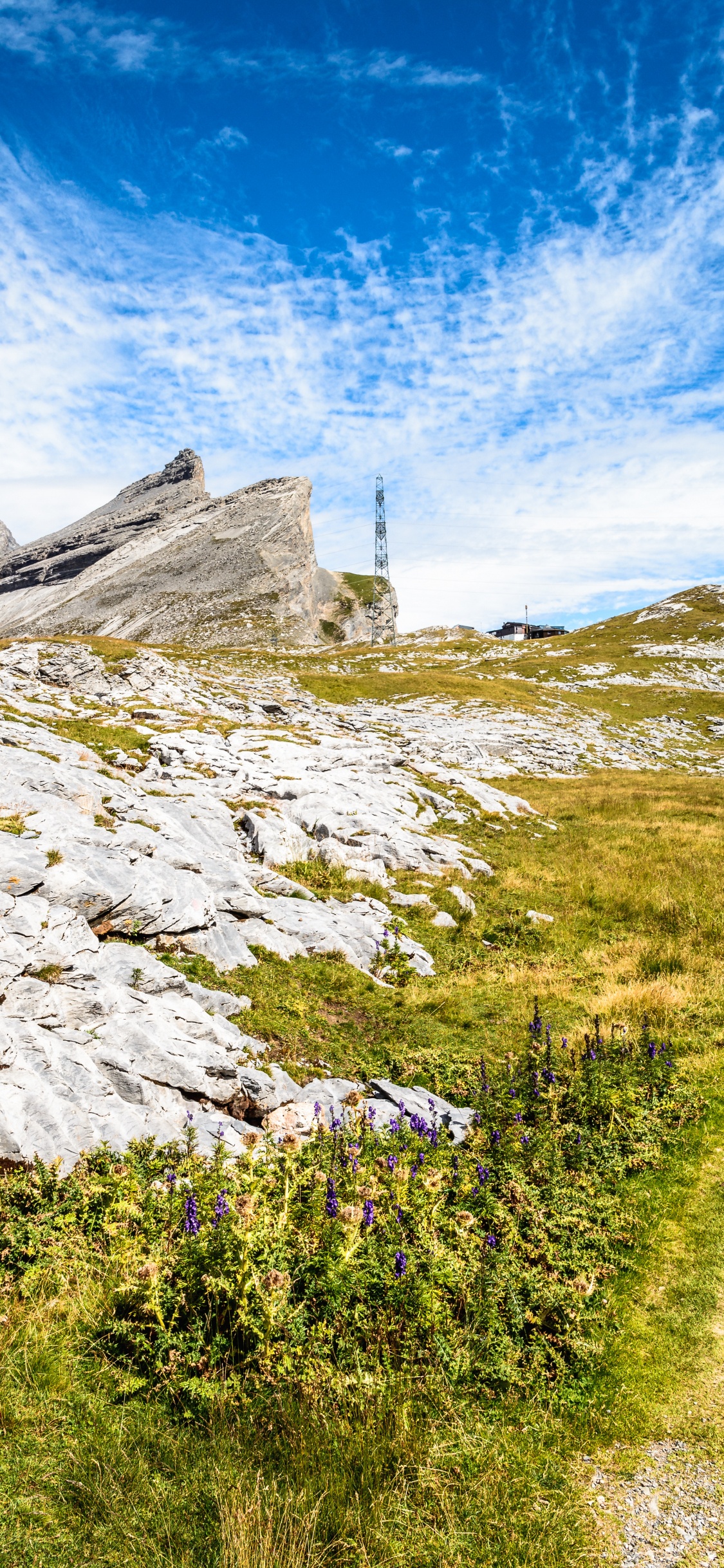 Обои облако, растение, гора, природный ландшафт, склон в разрешении 1125x2436