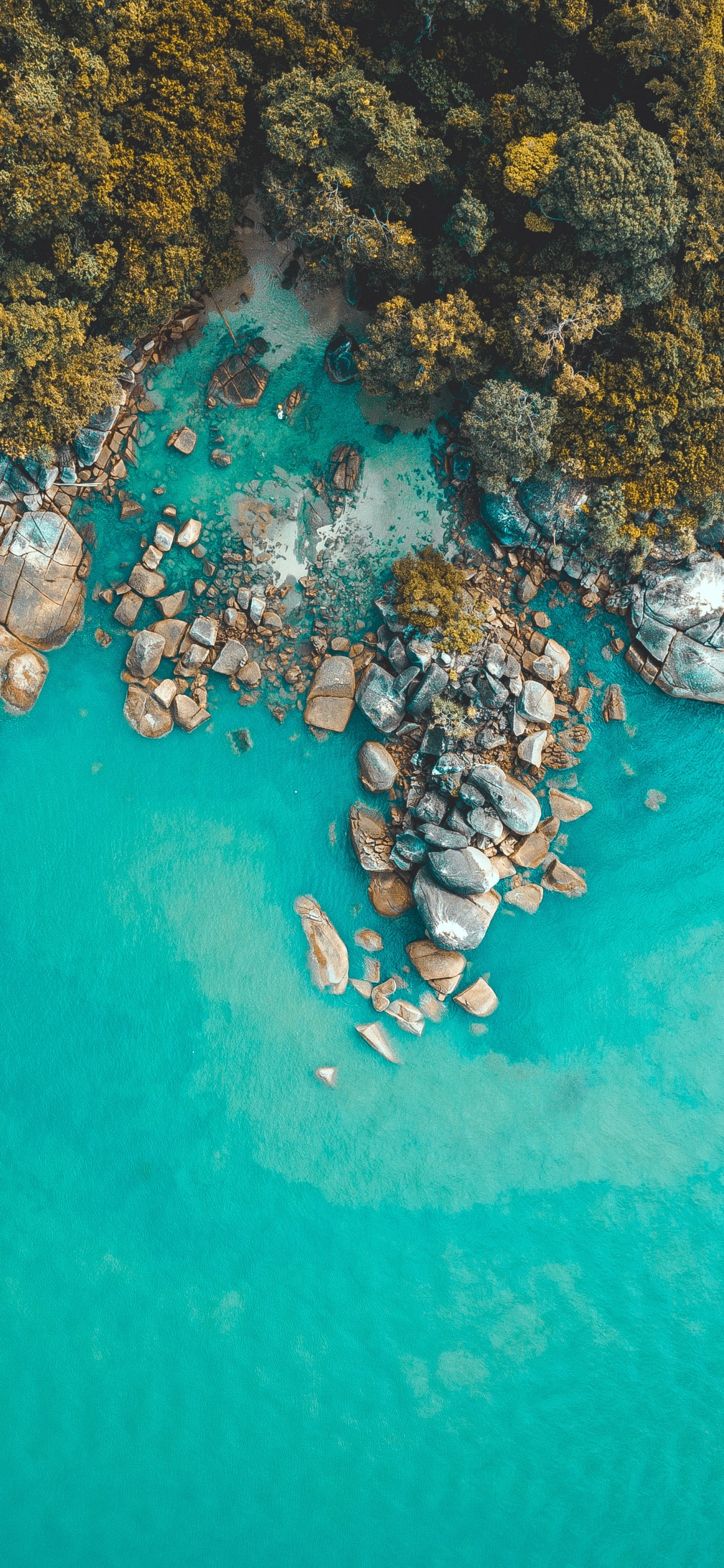 Обои бирюза, риф, СОПР, прибрежные и океанические рельефы, море в разрешении 1242x2688