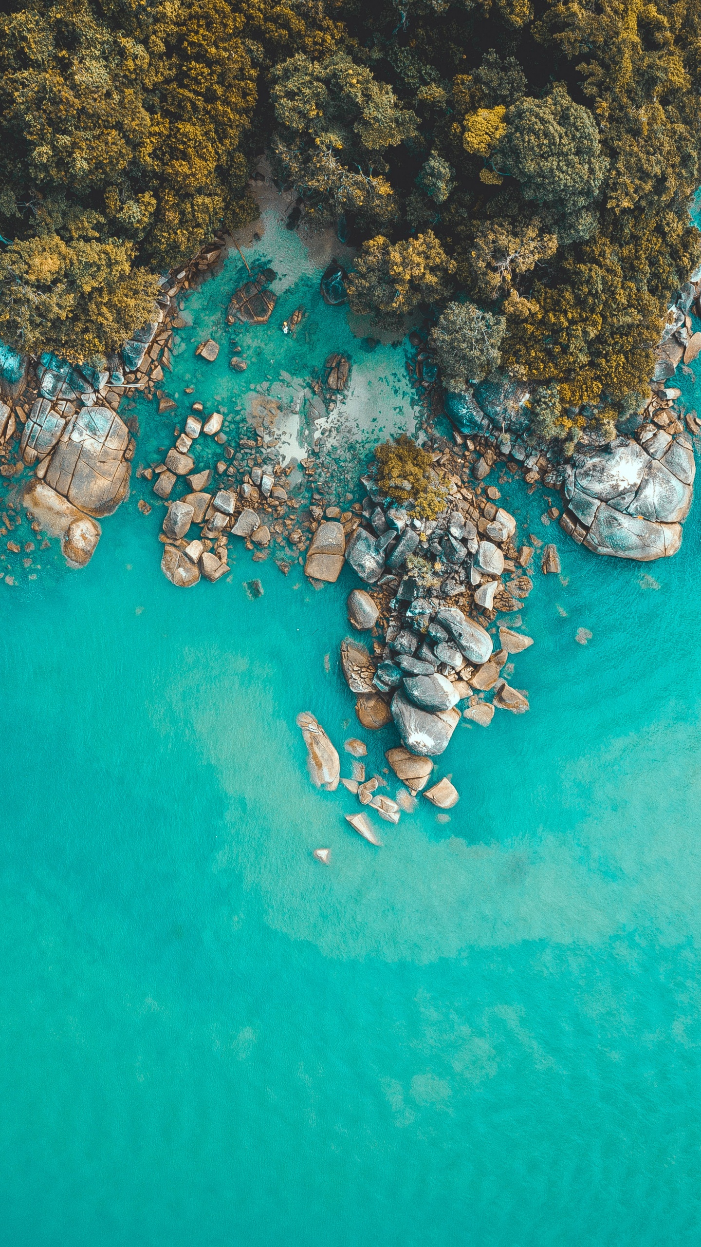 Обои бирюза, риф, СОПР, прибрежные и океанические рельефы, море в разрешении 1440x2560