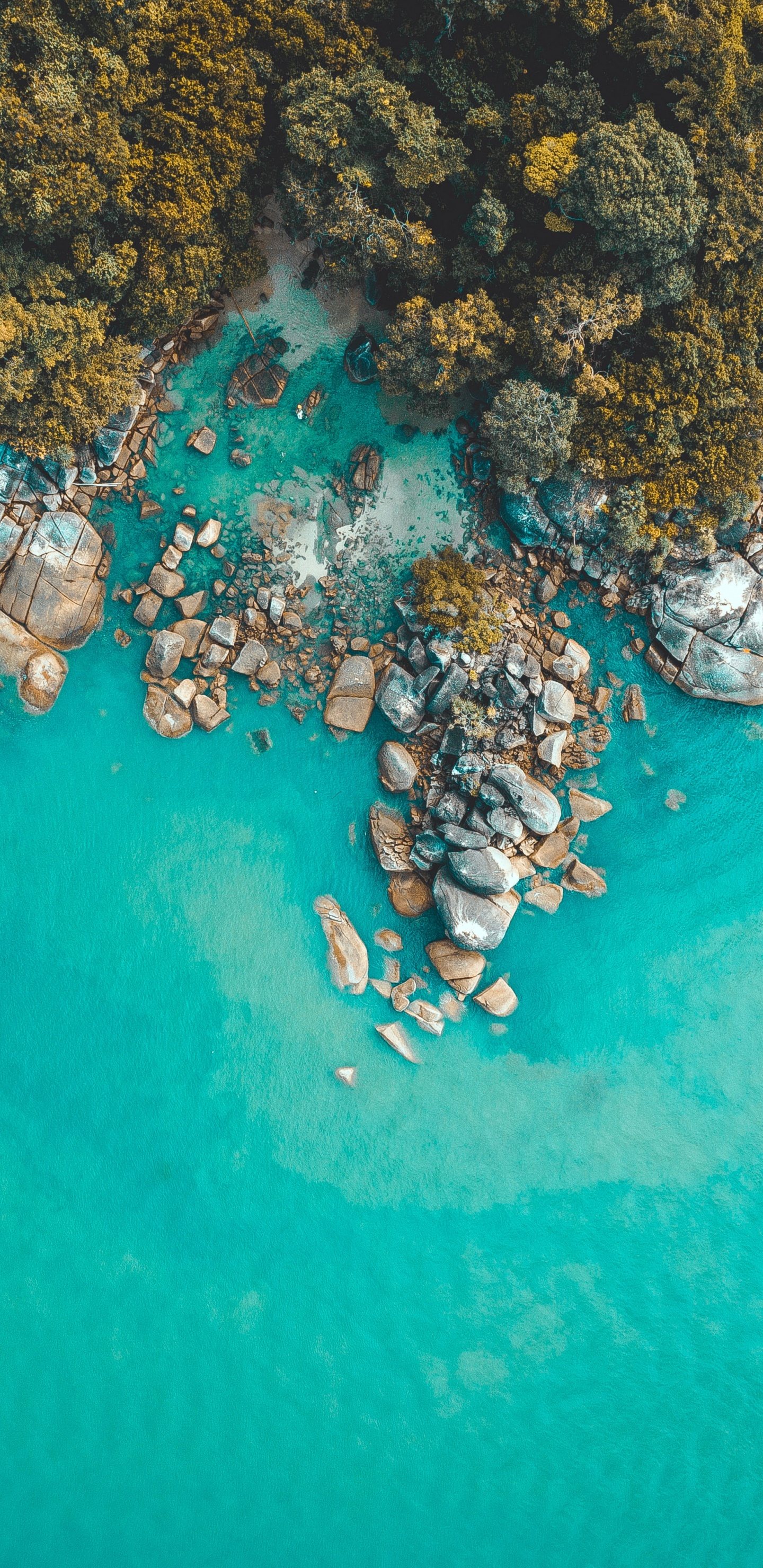 Обои бирюза, риф, СОПР, прибрежные и океанические рельефы, море в разрешении 1440x2960