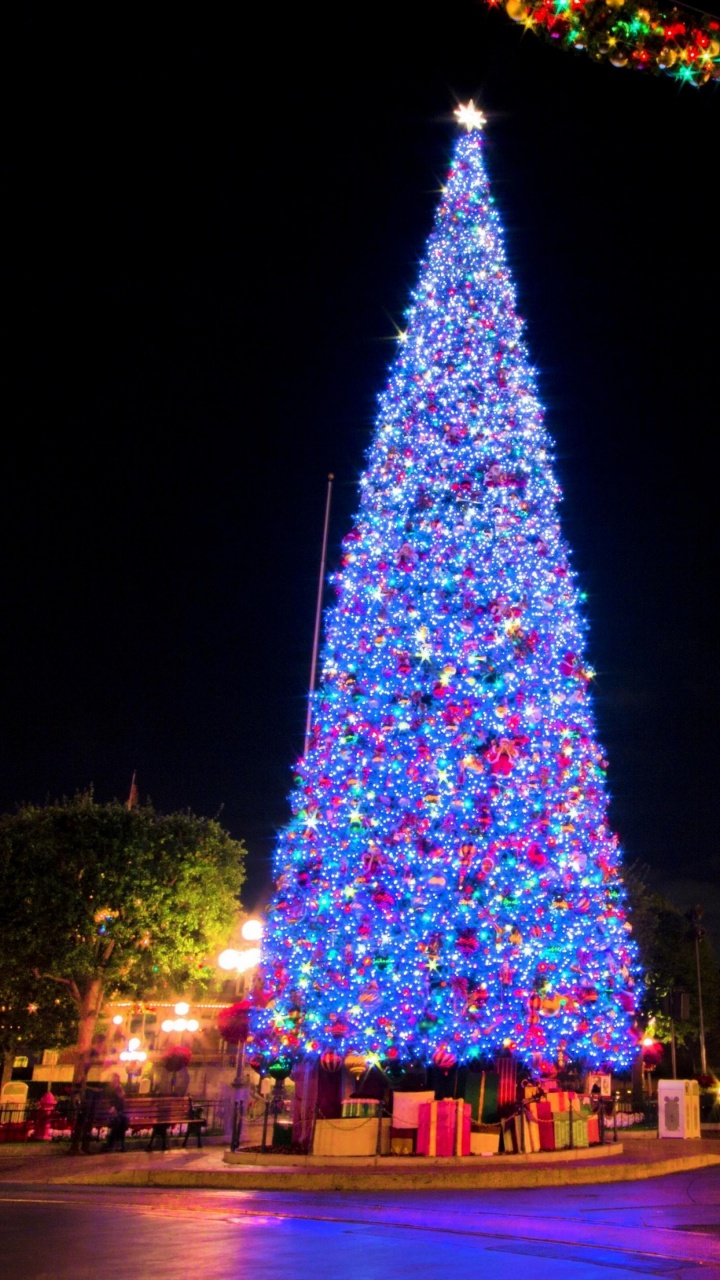 Обои елка, гирлянда, Новый год, ориентир, Рождественские украшения в разрешении 720x1280