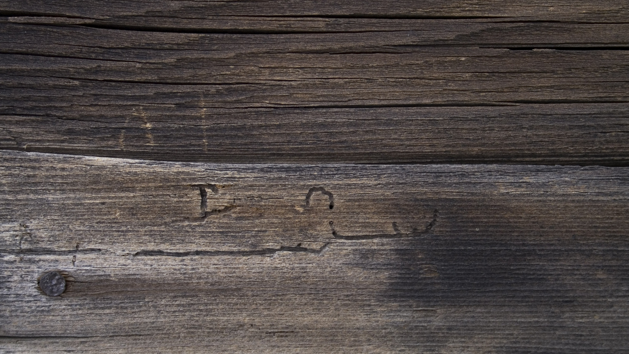 Обои планка, древесина, морилка, твердая древесина, этаж в разрешении 1280x720