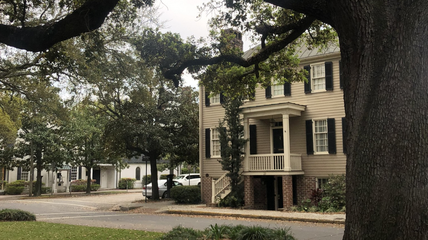 Обои дерево, ветвь, древесные растения, листопадные, парк в разрешении 1366x768