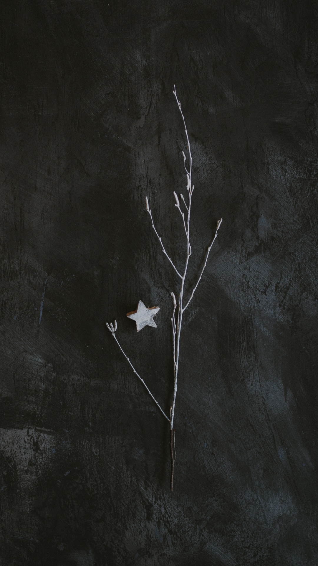 Обои темнота, черный и белый, черный, лист, ветвь в разрешении 1080x1920