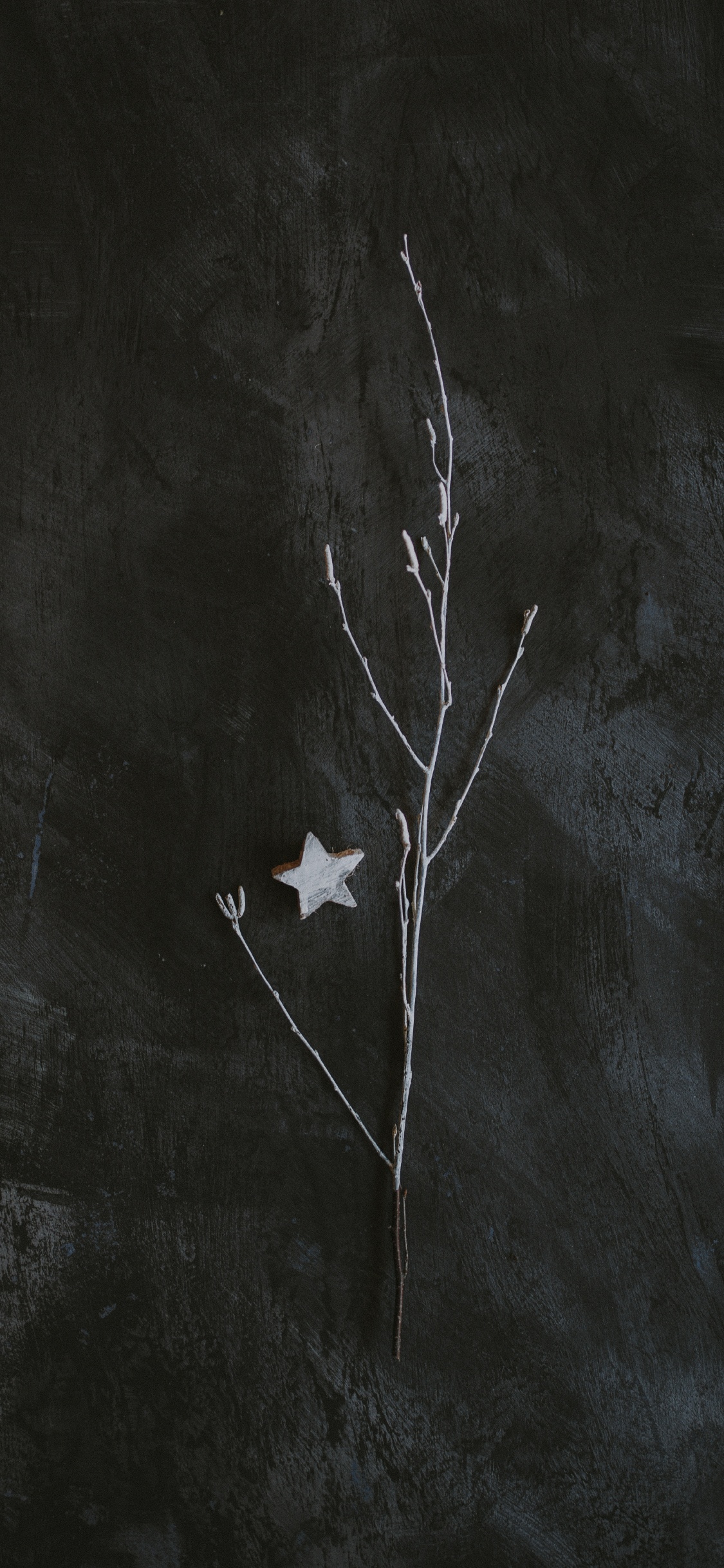 Обои темнота, черный и белый, черный, лист, ветвь в разрешении 1125x2436