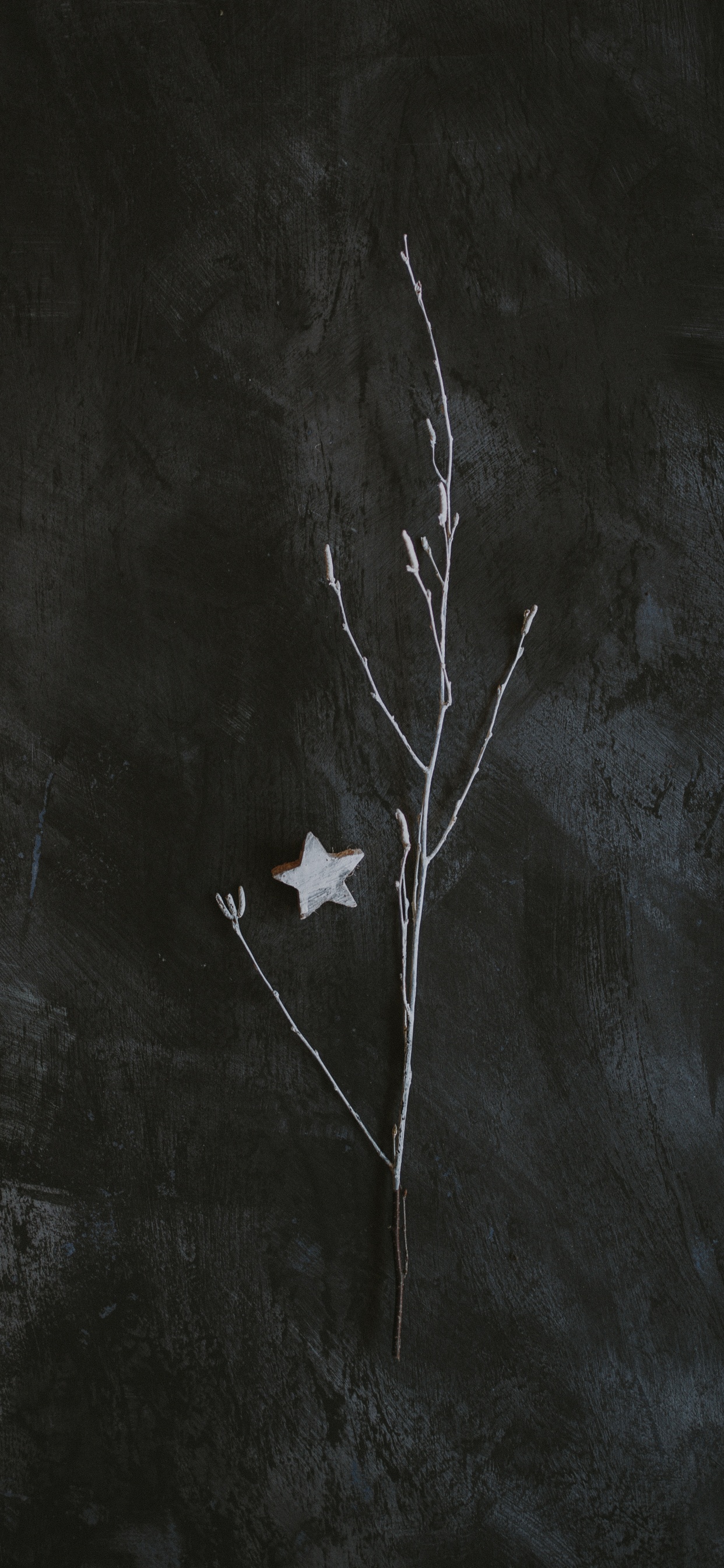 Обои темнота, черный и белый, черный, лист, ветвь в разрешении 1242x2688