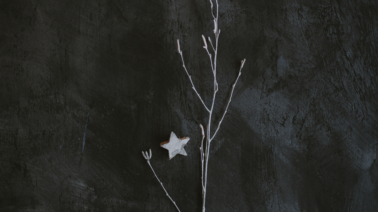 Обои темнота, черный и белый, черный, лист, ветвь в разрешении 1280x720