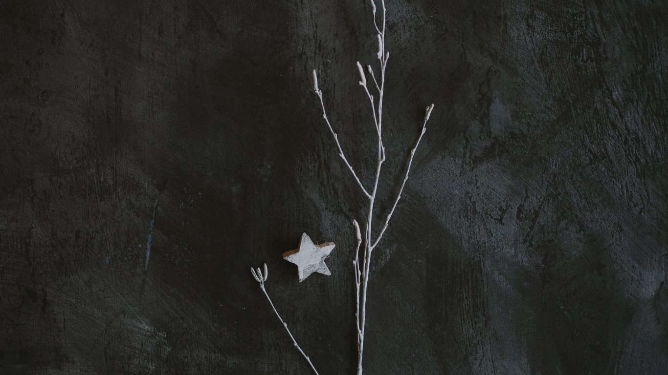 Обои темнота, черный и белый, черный, лист, ветвь в разрешении 1366x768