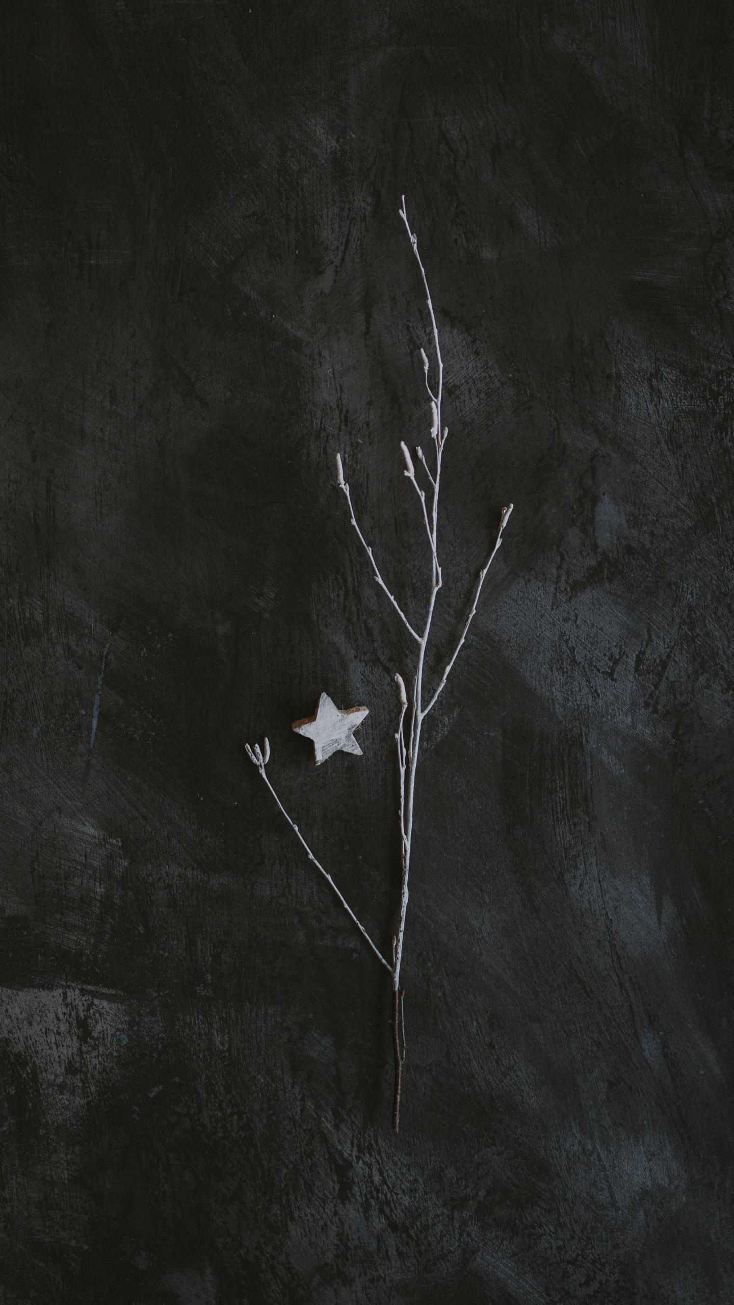 Обои темнота, черный и белый, черный, лист, ветвь в разрешении 1440x2560