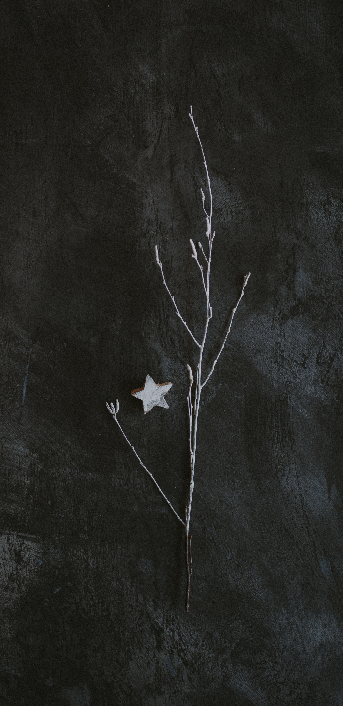 Обои темнота, черный и белый, черный, лист, ветвь в разрешении 1440x2960