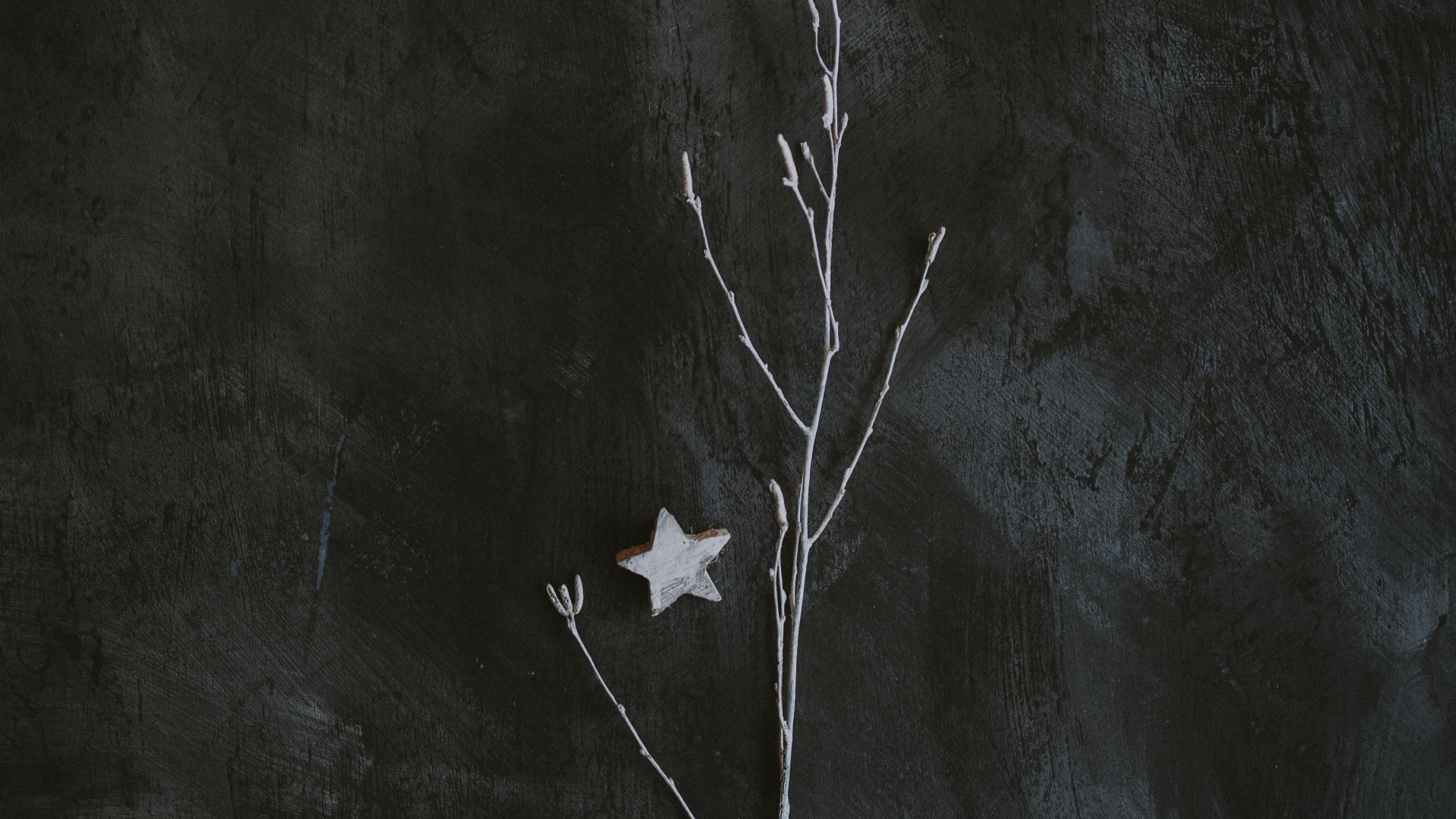 Обои темнота, черный и белый, черный, лист, ветвь в разрешении 1920x1080