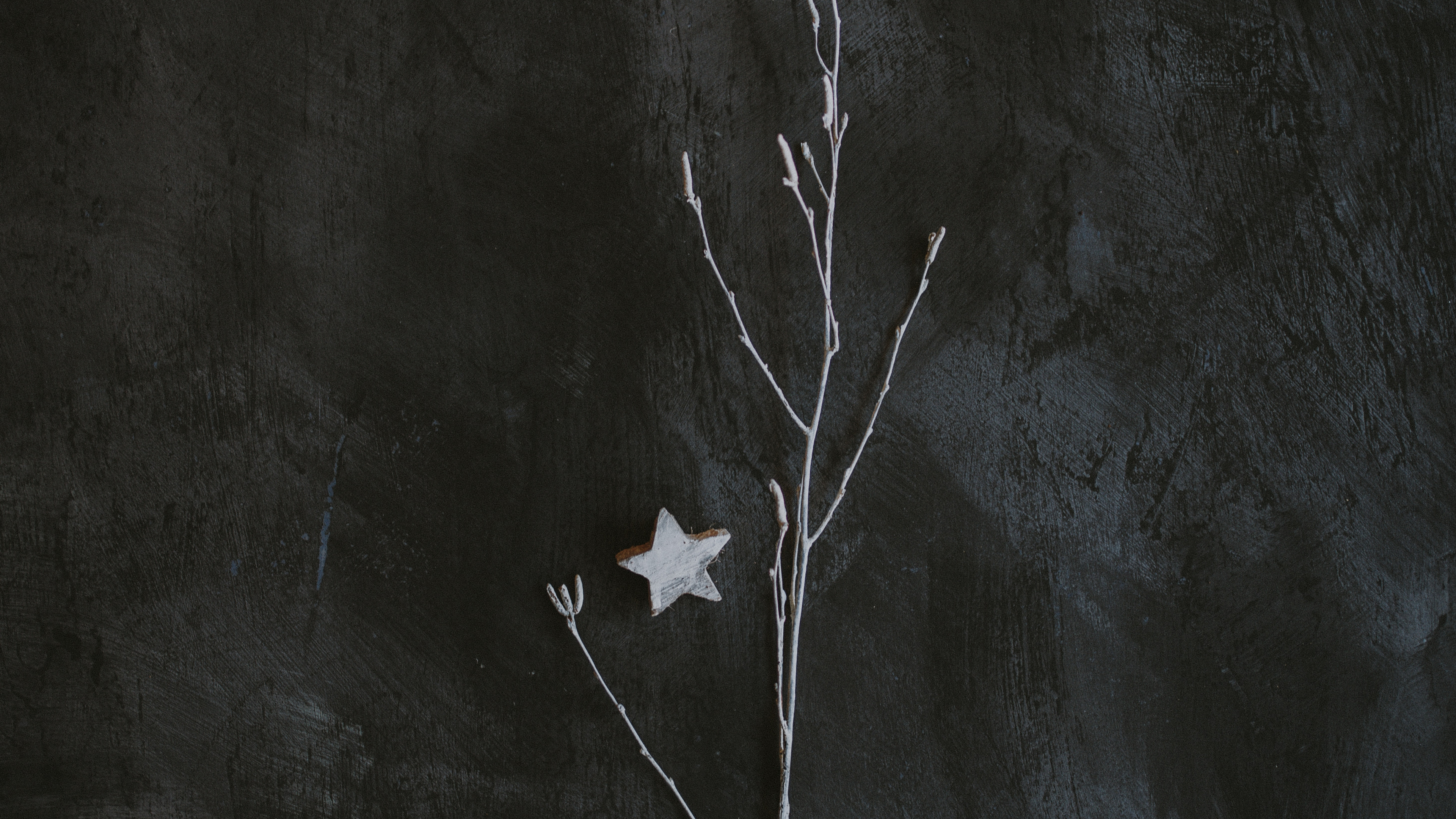Обои темнота, черный и белый, черный, лист, ветвь в разрешении 3840x2160