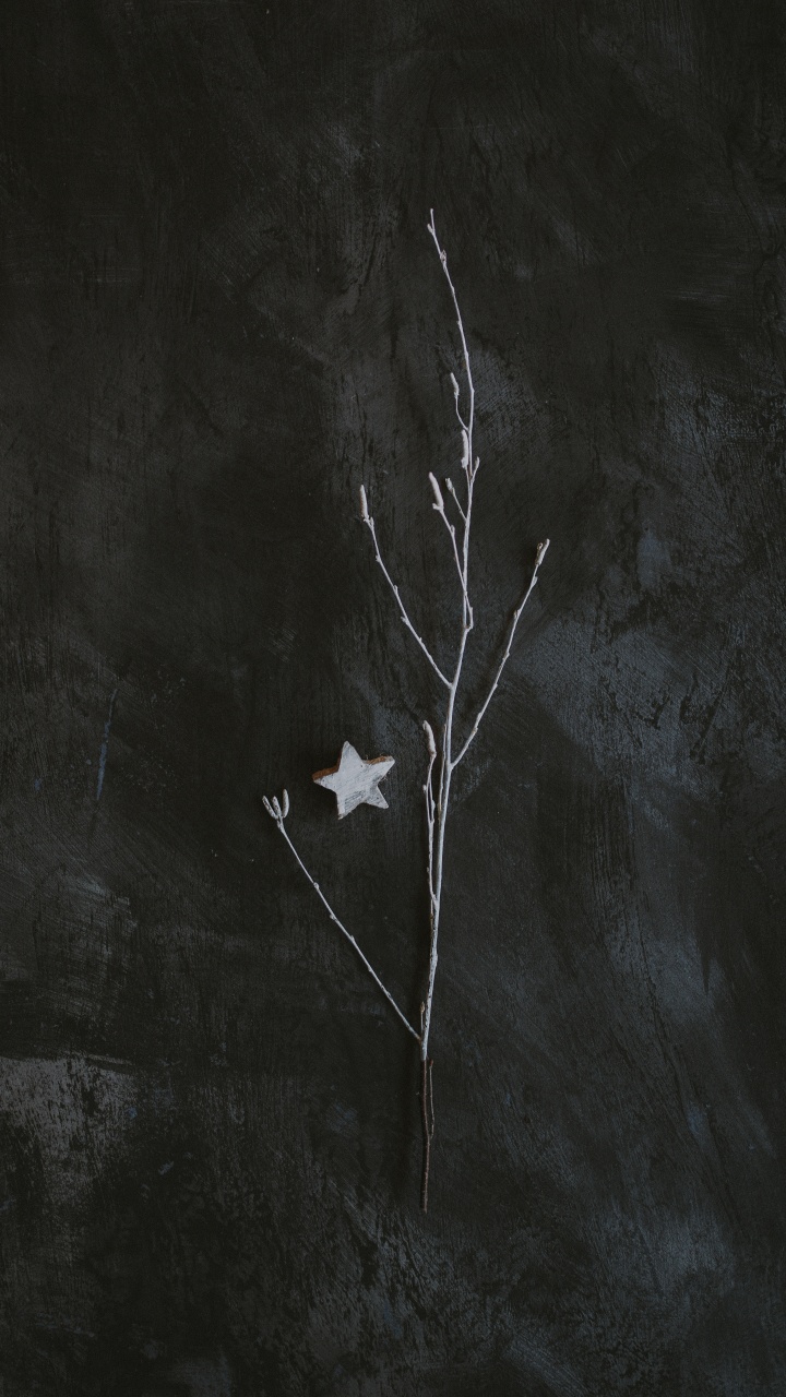 Обои темнота, черный и белый, черный, лист, ветвь в разрешении 720x1280