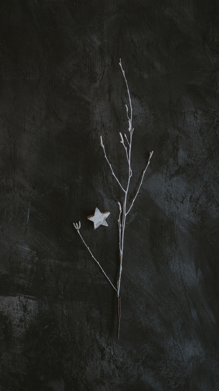 Обои темнота, черный и белый, черный, лист, ветвь в разрешении 750x1334