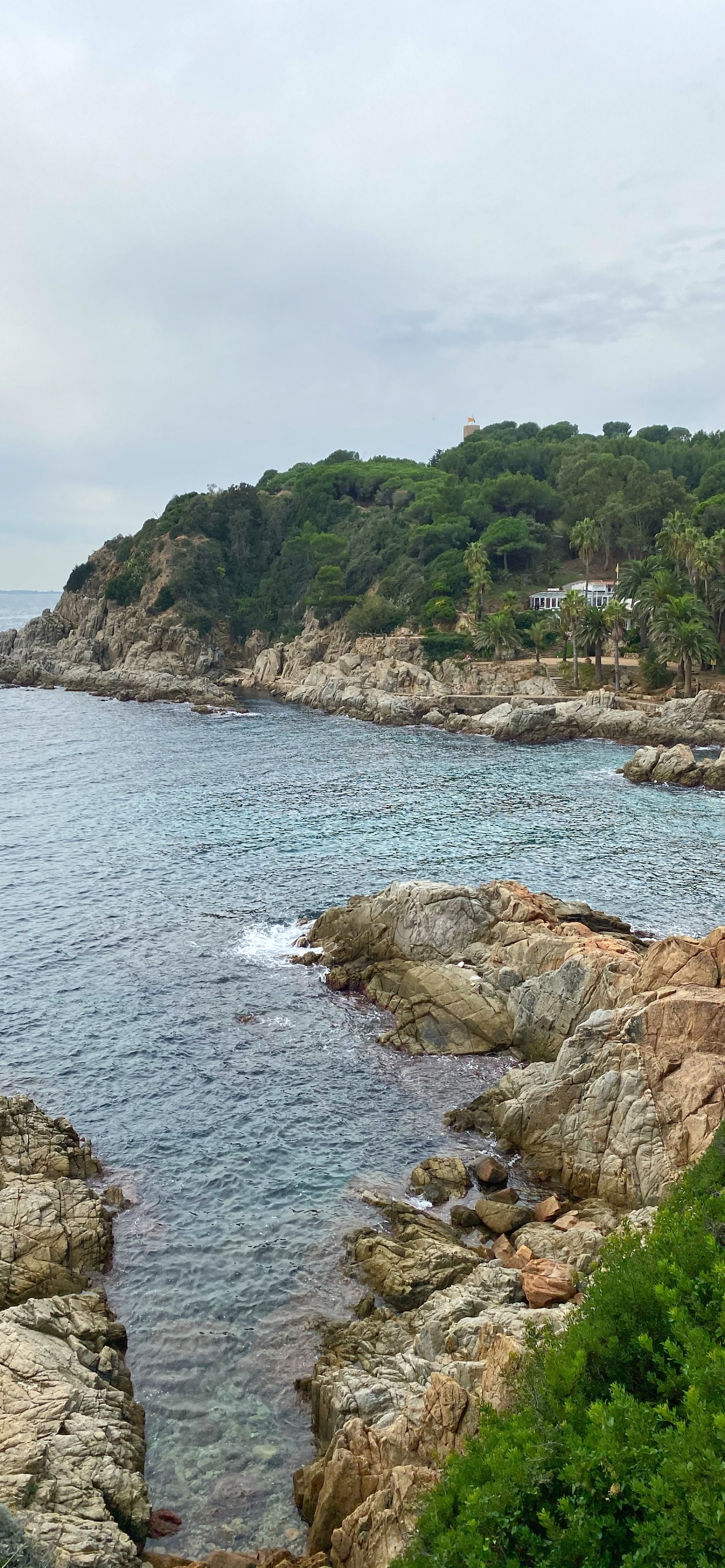 Обои побережье, мыс, бухточка, водоем, растительность в разрешении 1242x2688