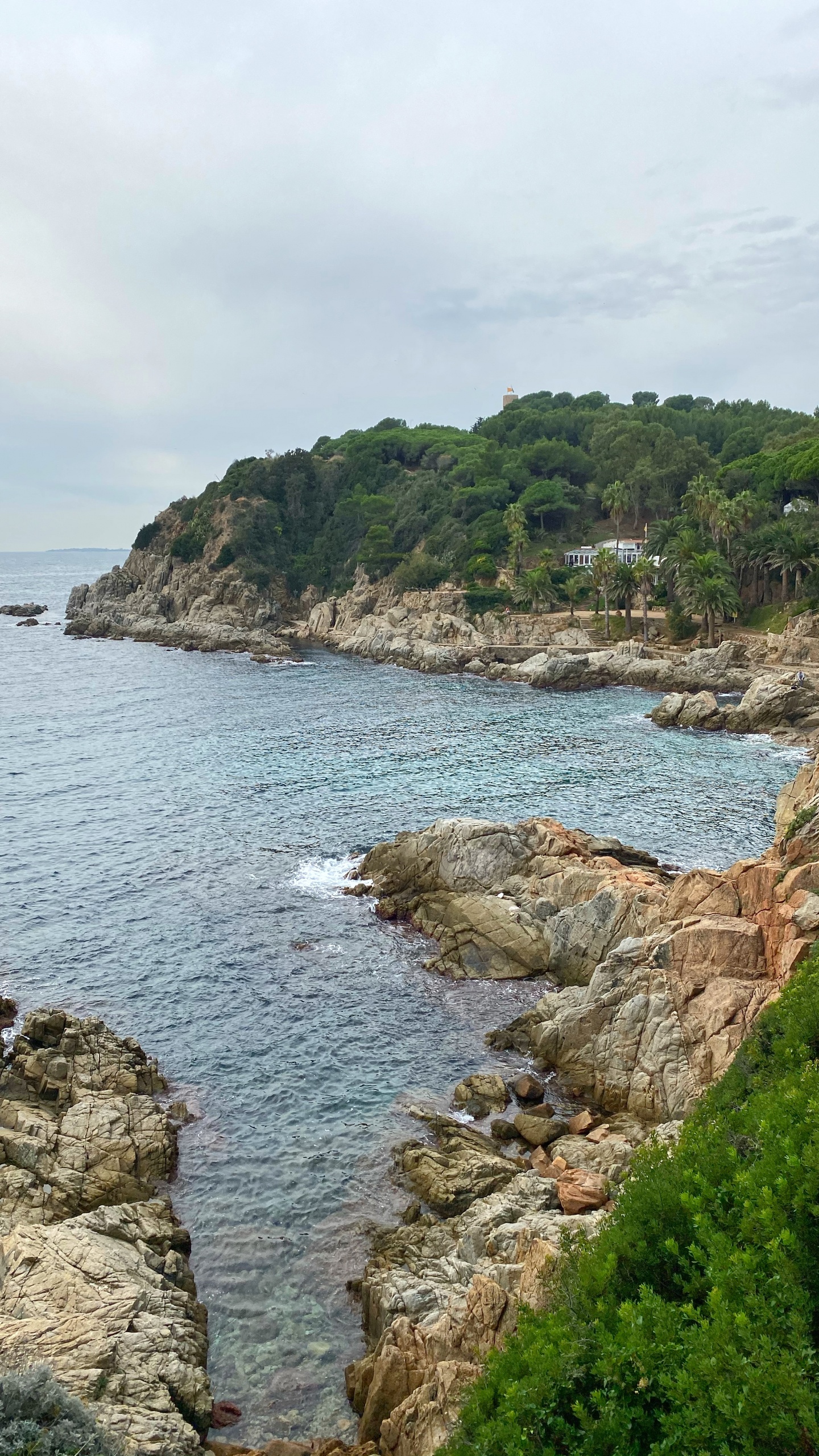 Обои побережье, мыс, бухточка, водоем, растительность в разрешении 1440x2560