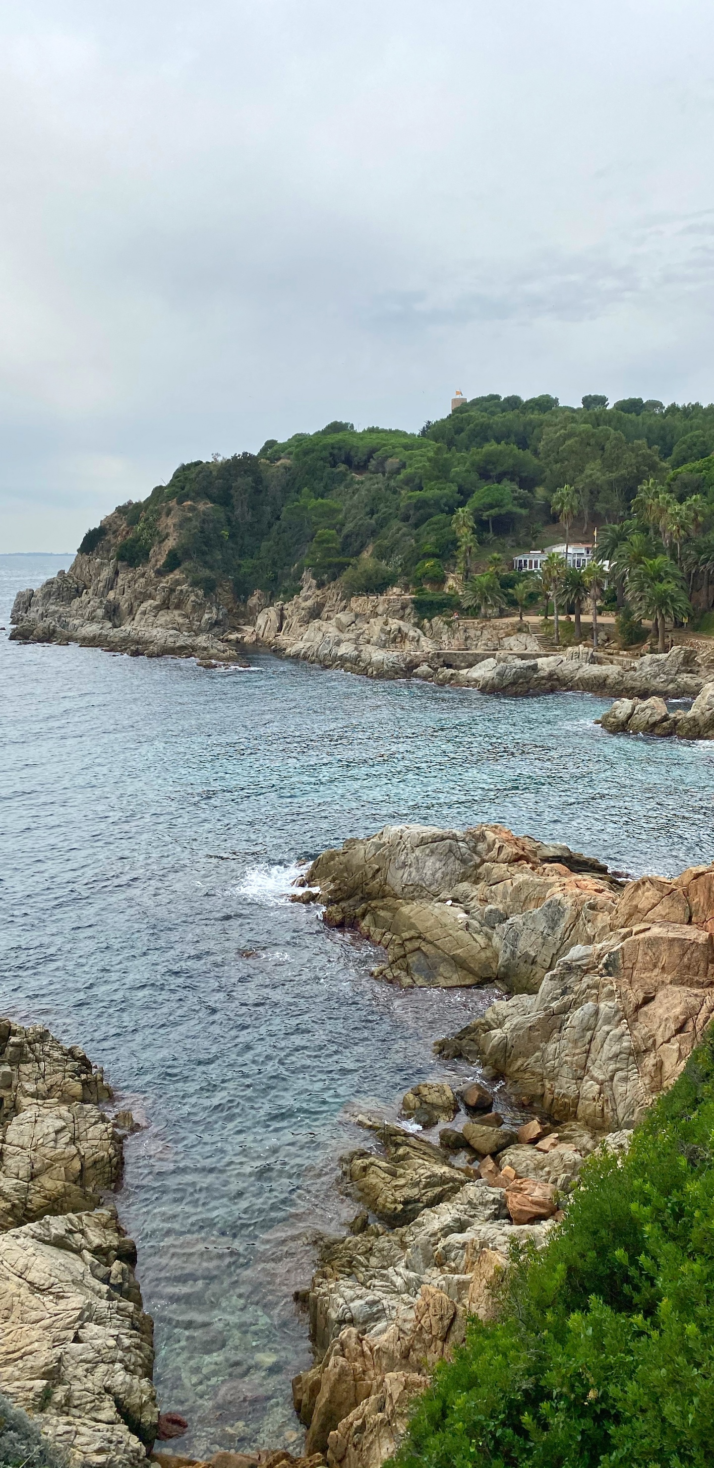 Обои побережье, мыс, бухточка, водоем, растительность в разрешении 1440x2960