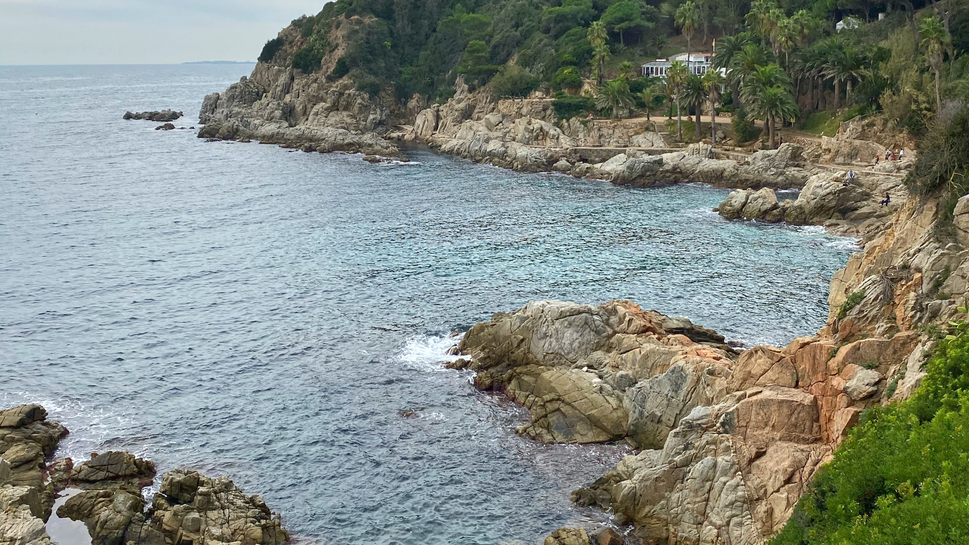 Обои побережье, мыс, бухточка, водоем, растительность в разрешении 1920x1080