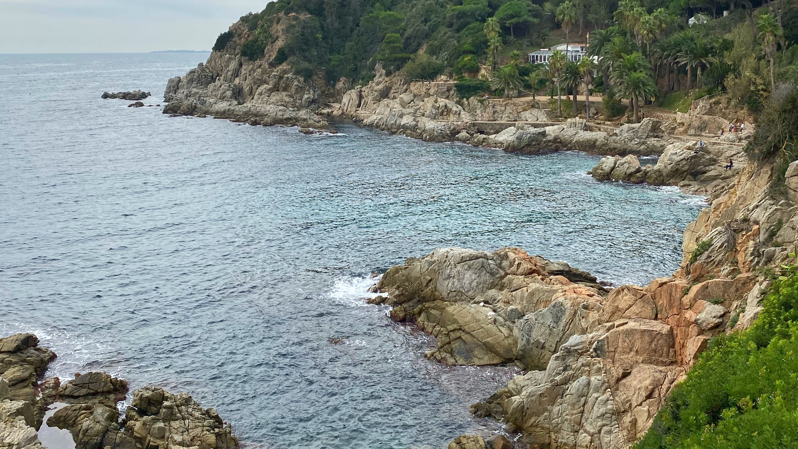 Обои побережье, мыс, бухточка, водоем, растительность в разрешении 2560x1440