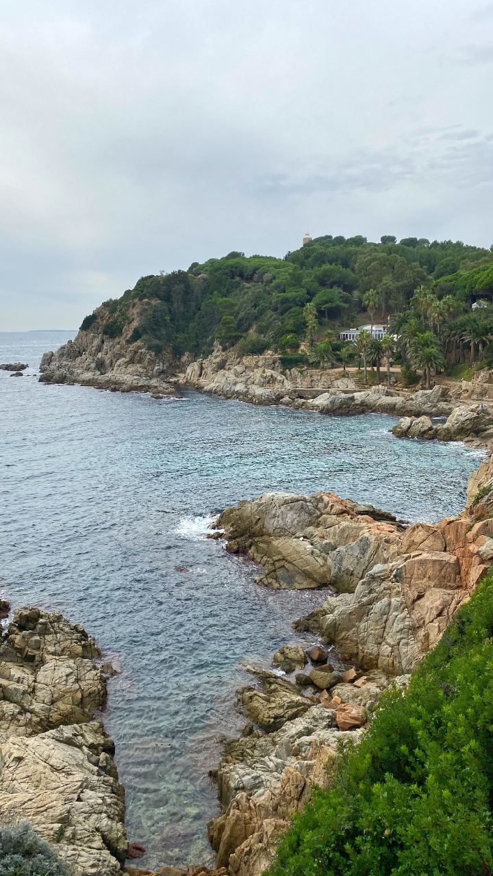 Обои побережье, мыс, бухточка, водоем, растительность в разрешении 720x1280