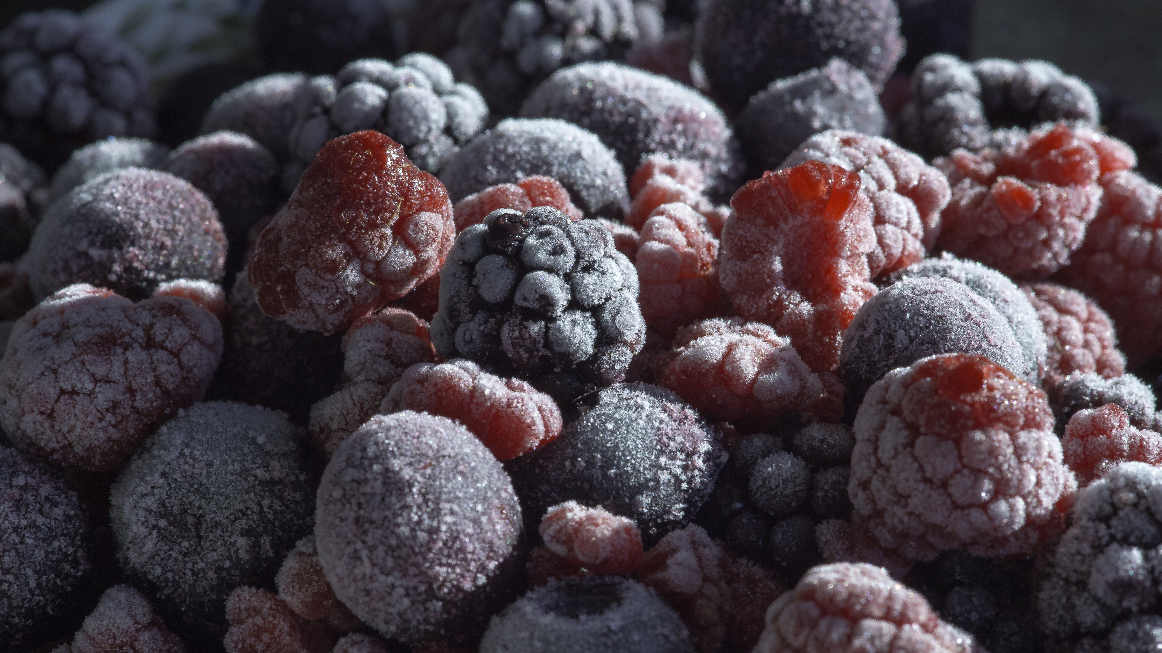 Обои Blackberry, Черника, ягоды, фрукты, пища в разрешении 3840x2160