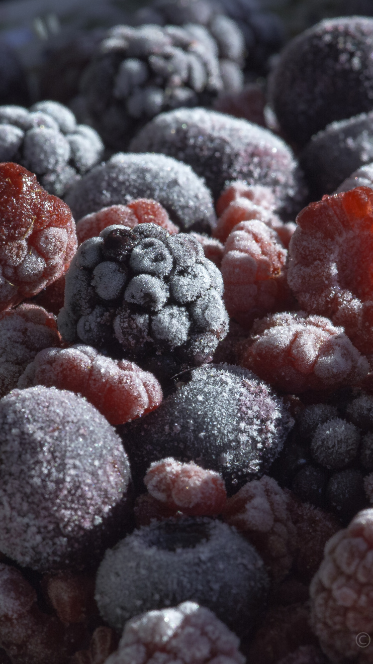 Обои Blackberry, Черника, ягоды, фрукты, пища в разрешении 750x1334