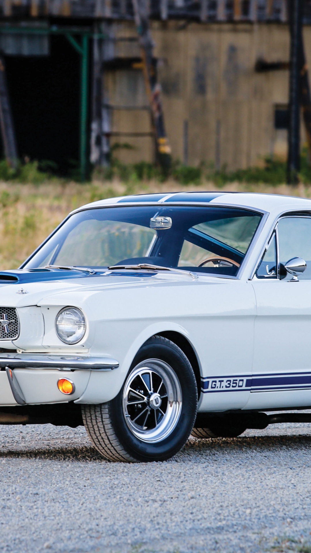 Обои Шелби Мустанг, концепция Форд Кобра Шелби, Форд Шелби GT350, спорткар, Форд Мустанг в разрешении 1080x1920