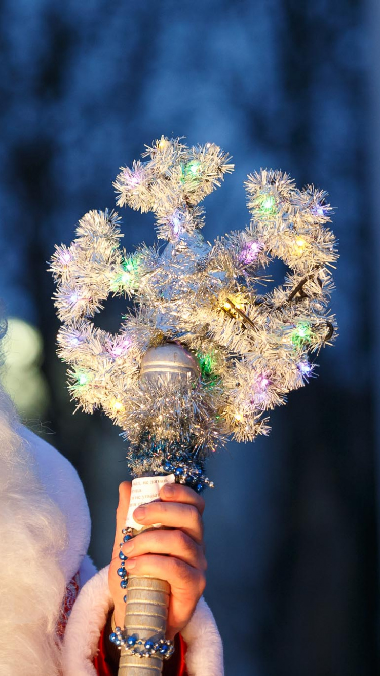 Обои традиция, волосы на лице, волосы, шерсть, событие в разрешении 750x1334