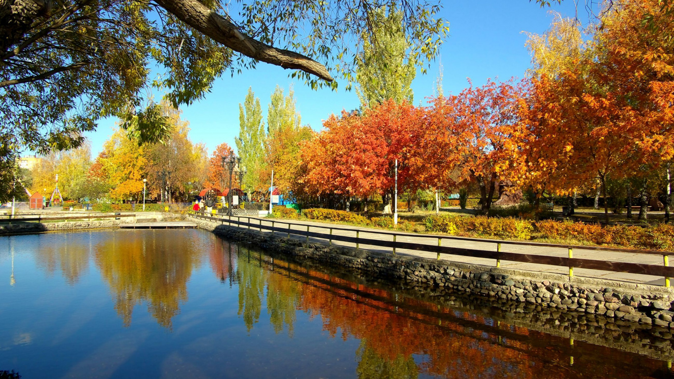 Обои Москва, природа, город, дерево, отражение в разрешении 1366x768