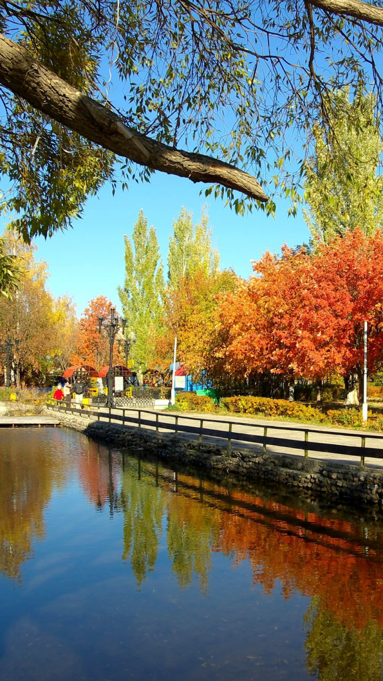 Обои Москва, природа, город, дерево, отражение в разрешении 750x1334