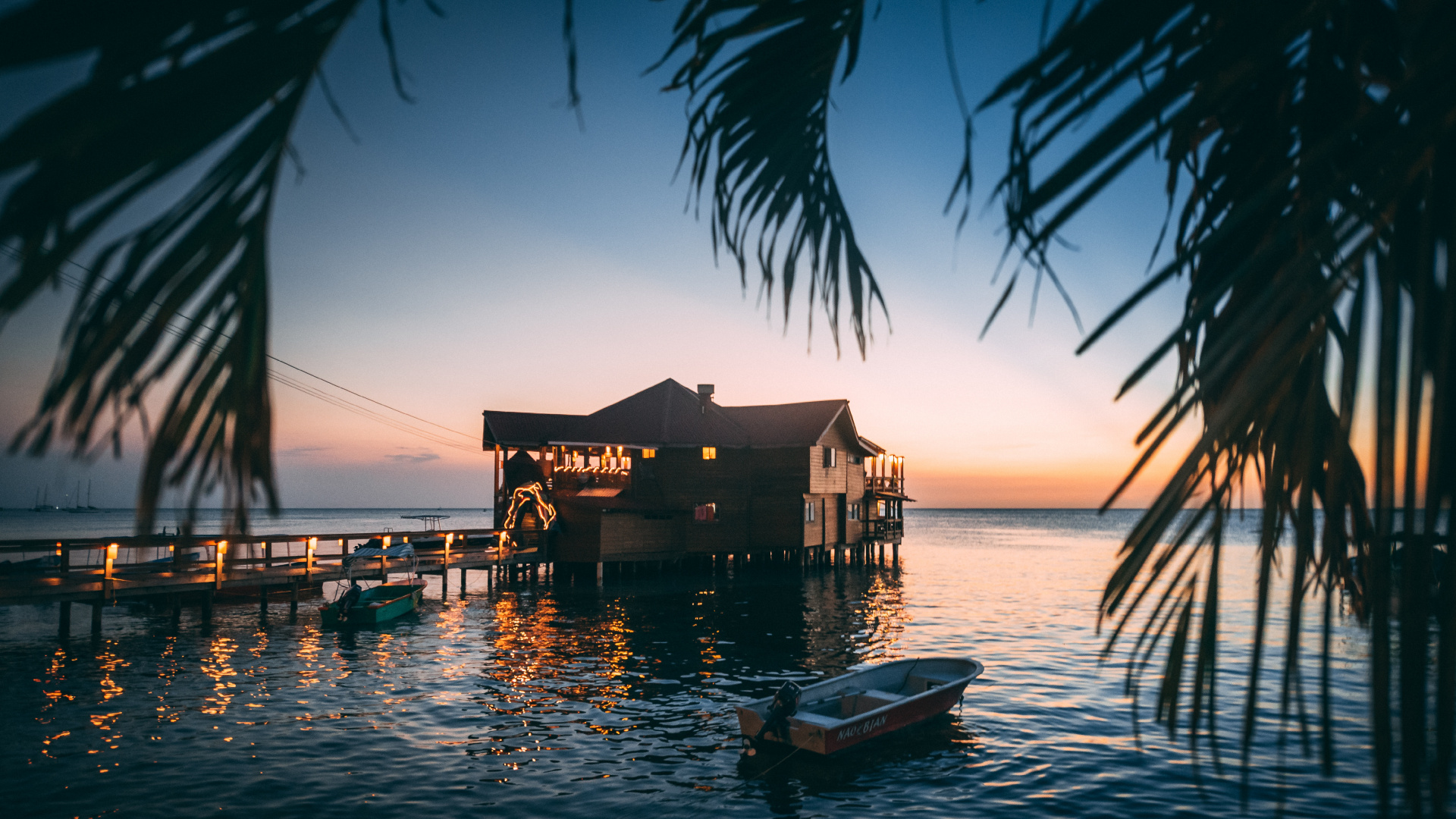 Обои тропическая зона, дерево, море, океан, вода в разрешении 1920x1080