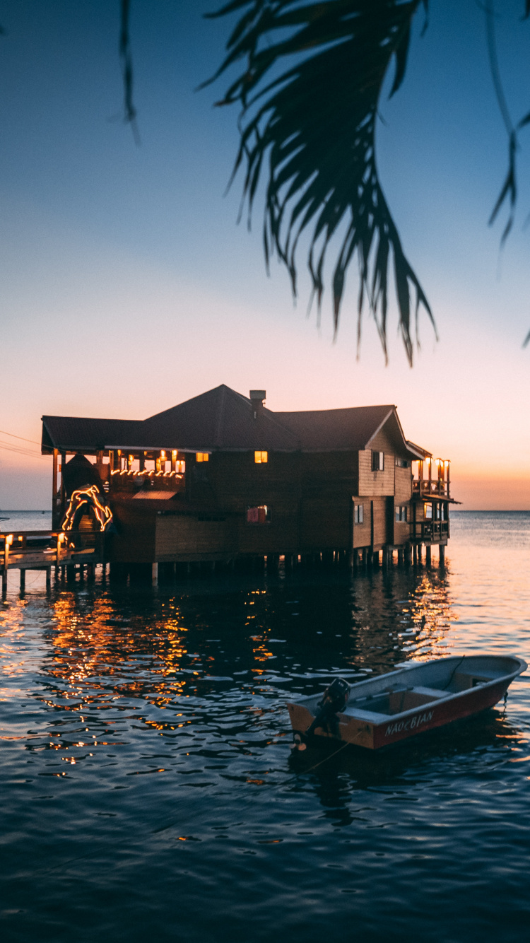 Обои тропическая зона, дерево, море, океан, вода в разрешении 750x1334