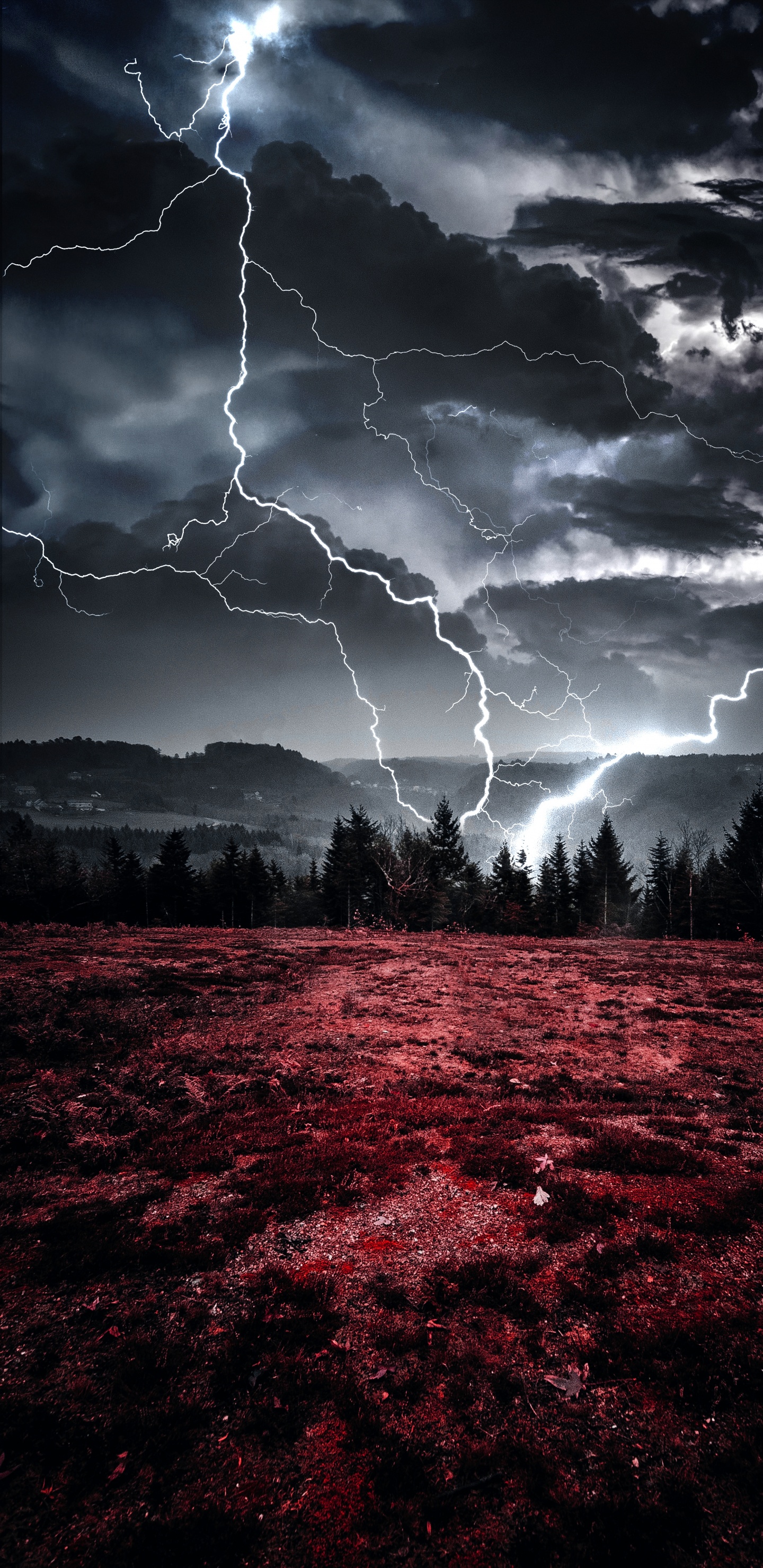 Обои облако, молния, атмосфера, гром, вода в разрешении 1440x2960