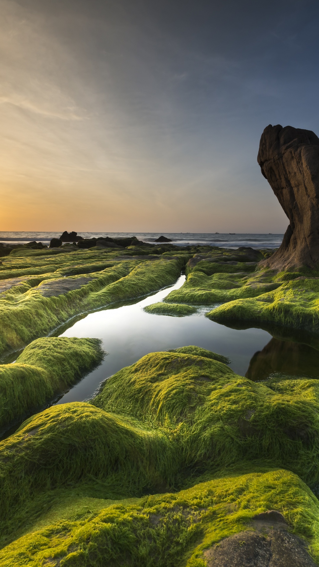 Обои aphanizomenon flos aquae, водоросли, Верхнее озеро Кламат, облако, гидроресурсы в разрешении 1080x1920