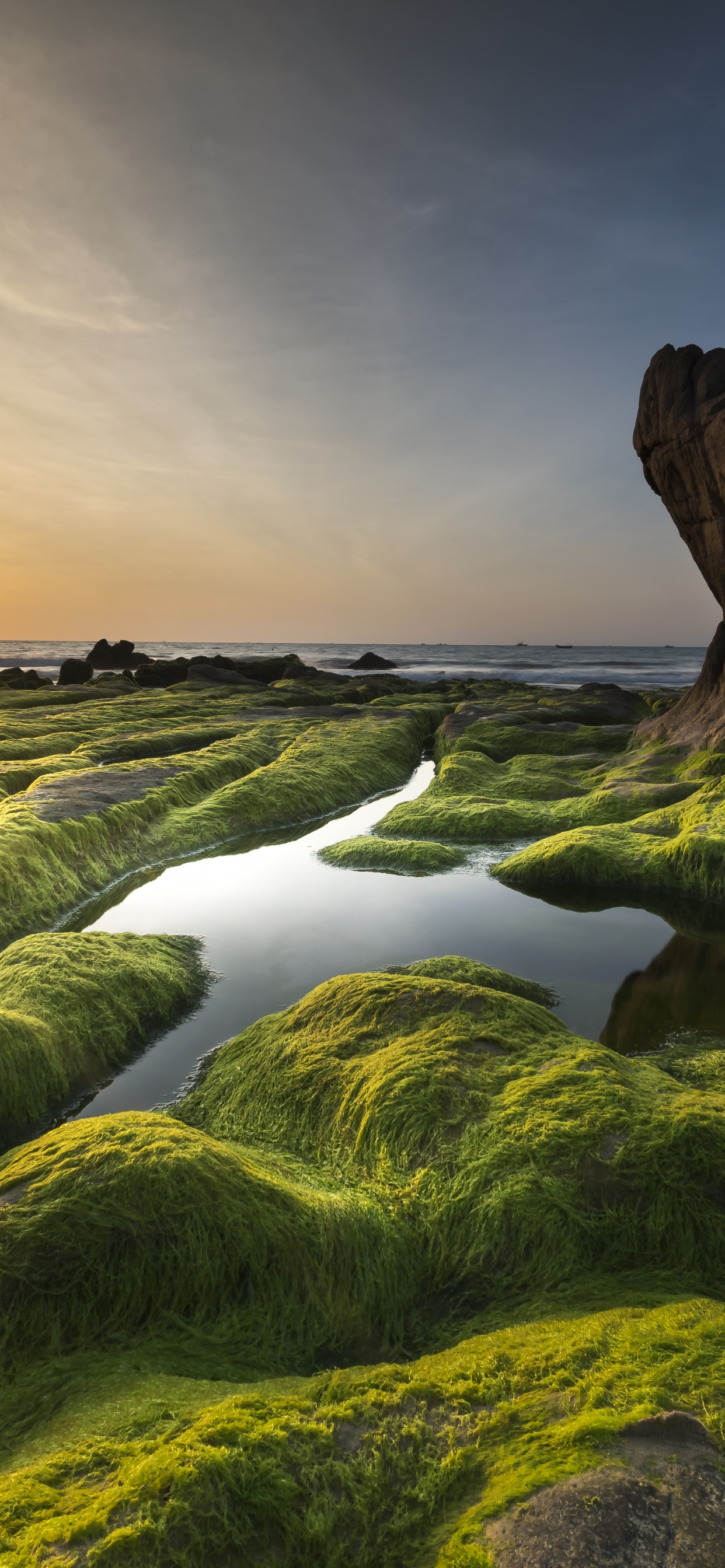 Обои aphanizomenon flos aquae, водоросли, Верхнее озеро Кламат, облако, гидроресурсы в разрешении 1242x2688