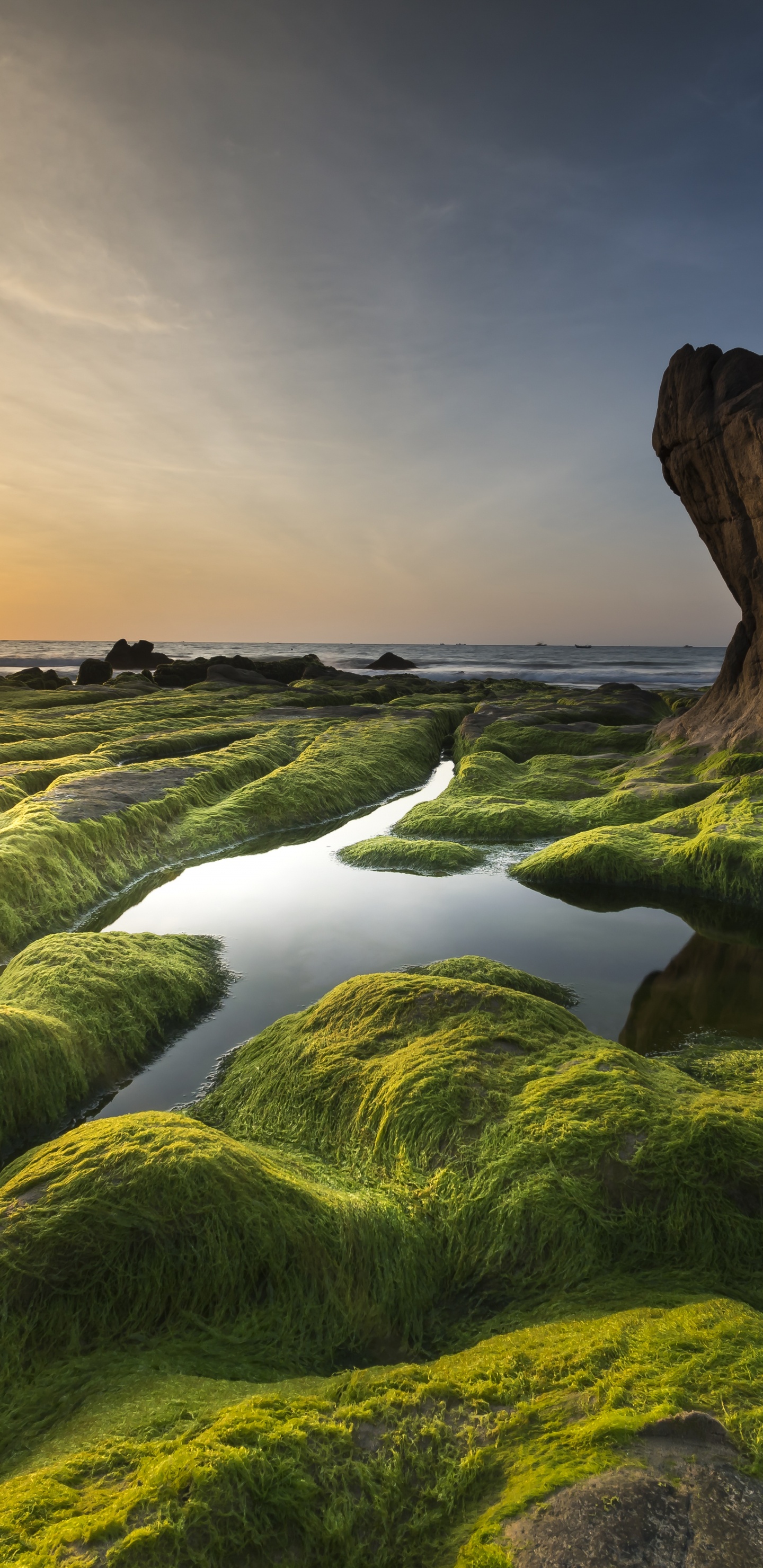 Обои aphanizomenon flos aquae, водоросли, Верхнее озеро Кламат, облако, гидроресурсы в разрешении 1440x2960