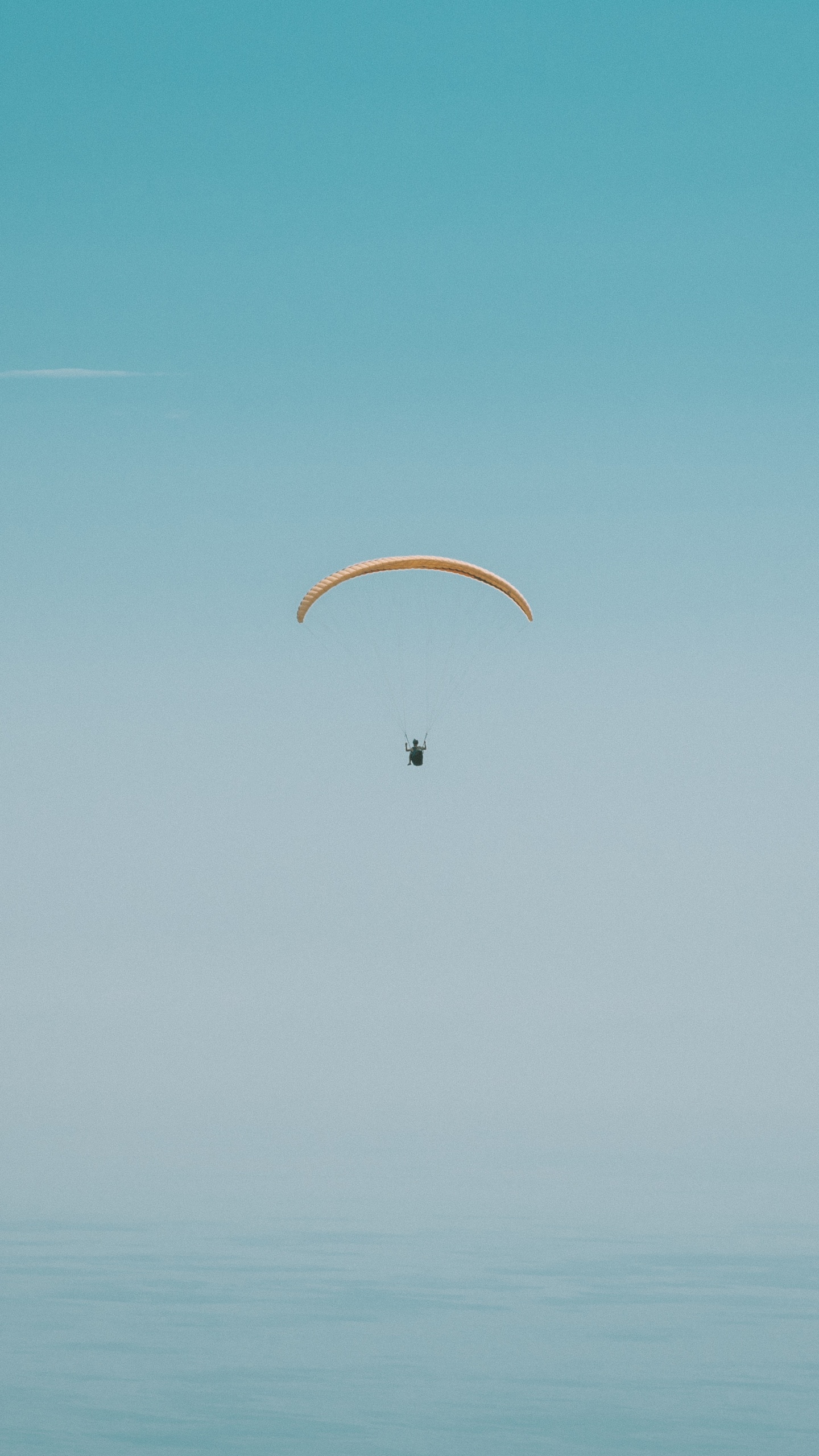 Обои парашют, парашютный спорт, экстремальный вид спорта, воздушные виды спорта, windsports в разрешении 1440x2560