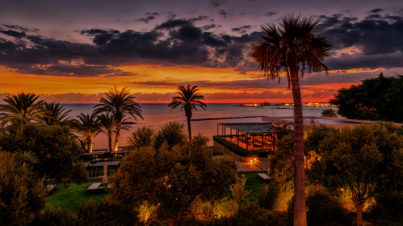 Обои природа, закат, Пальма, вечер, восход солнца в разрешении 1366x768