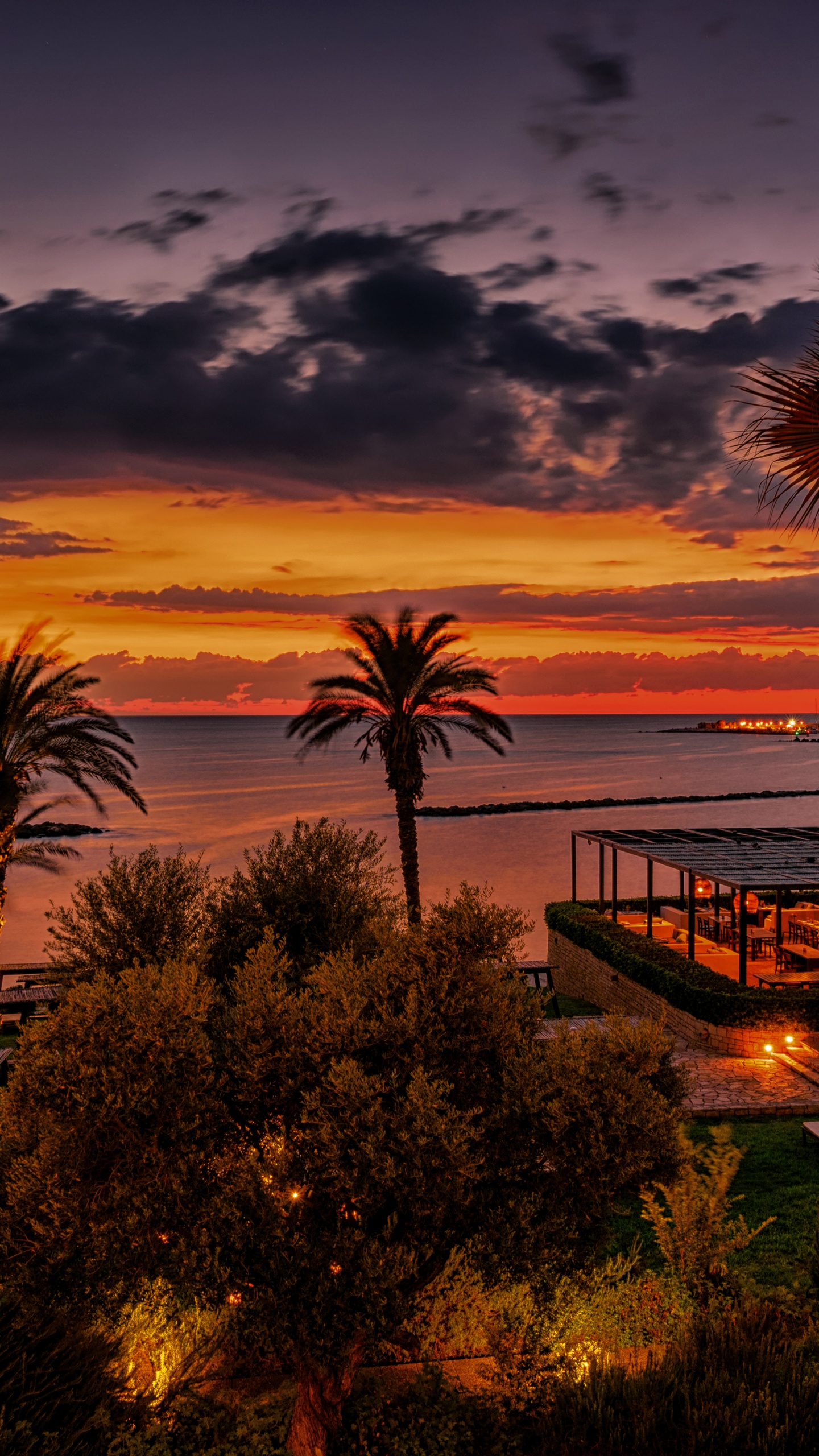 Обои природа, закат, Пальма, вечер, восход солнца в разрешении 1440x2560